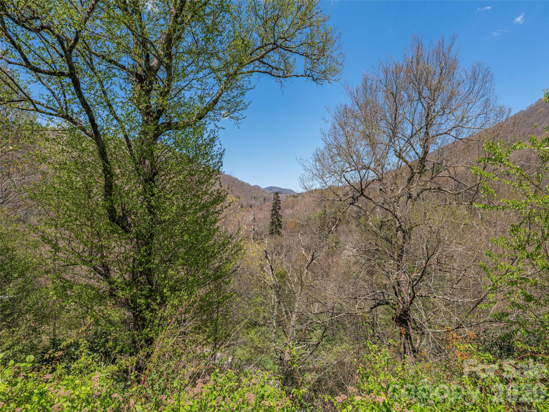 240 Plott Balsam Road - Photo 3