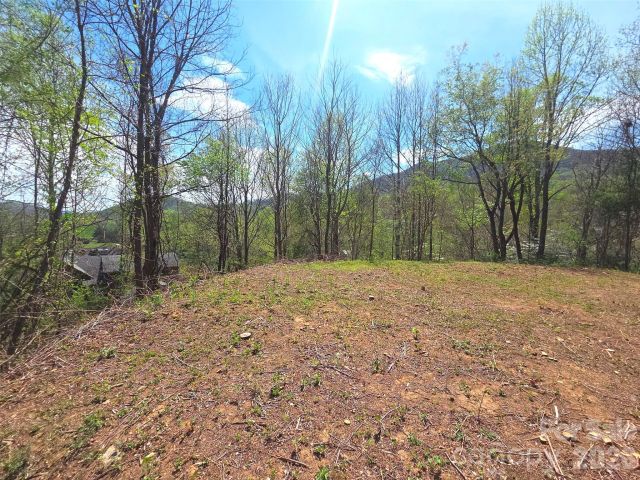 50 Turtle Rock Lane, Waynesville, NC, 28785