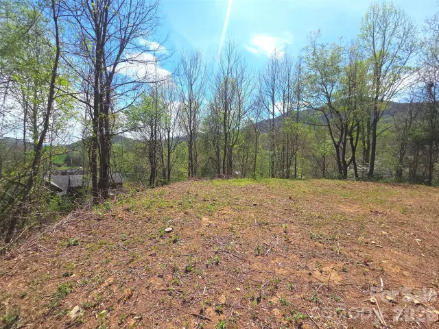 50 Turtle Rock Lane, Waynesville, NC, 28785