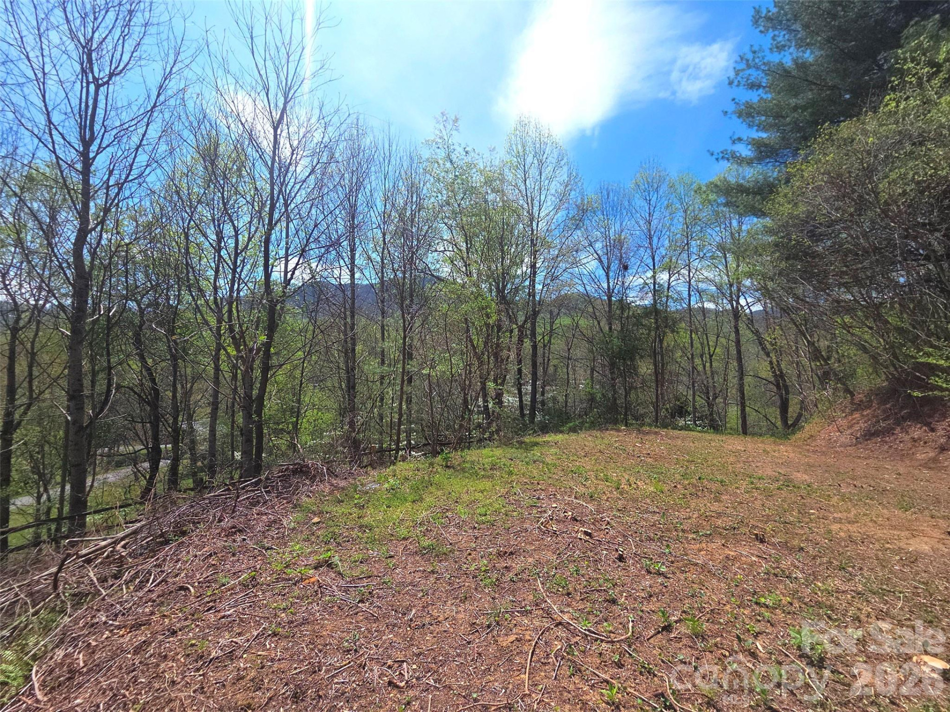 50 Turtle Rock Lane #6 - Photo 2