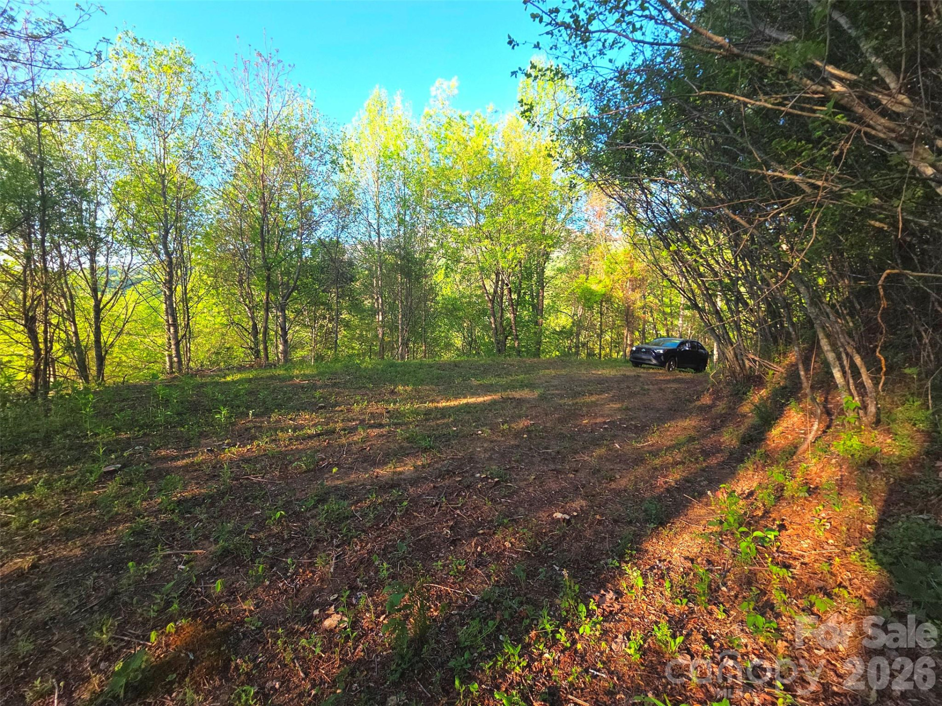 50 Turtle Rock Lane #6 - Photo 11