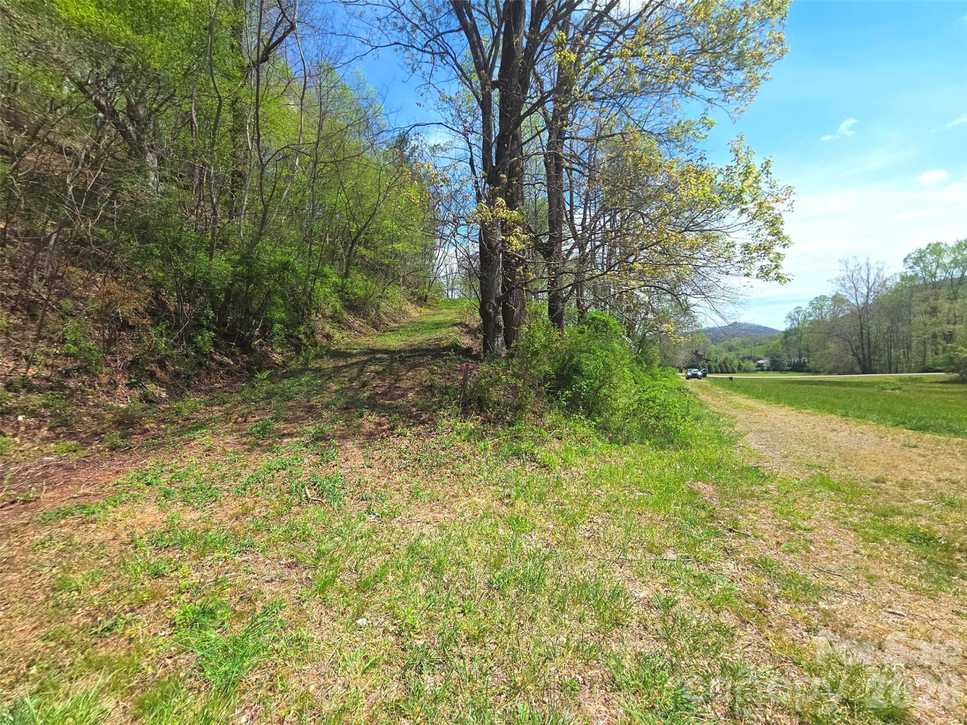 50 Turtle Rock Lane #6 - Photo 12