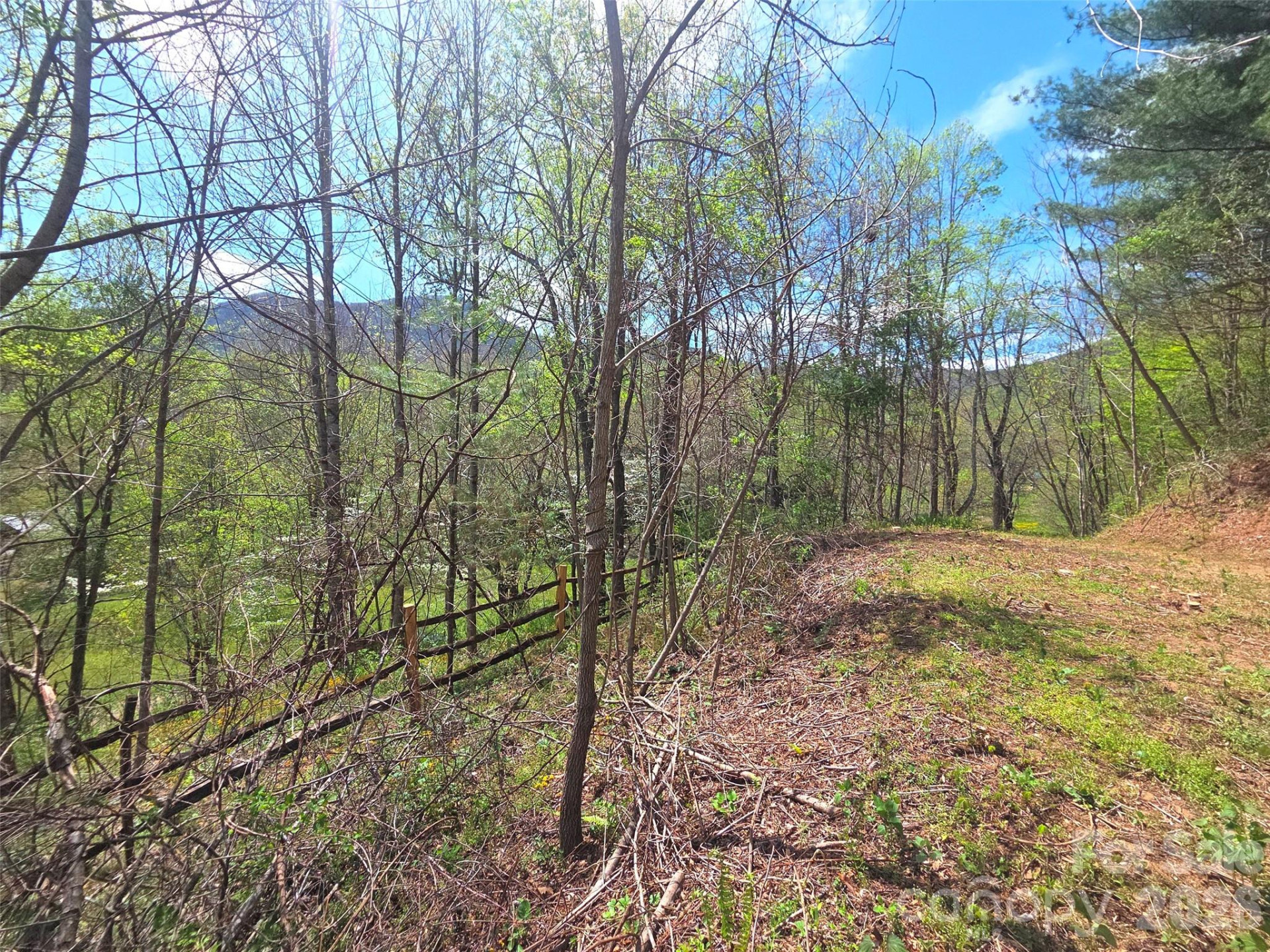 50 Turtle Rock Lane #6 - Photo 13