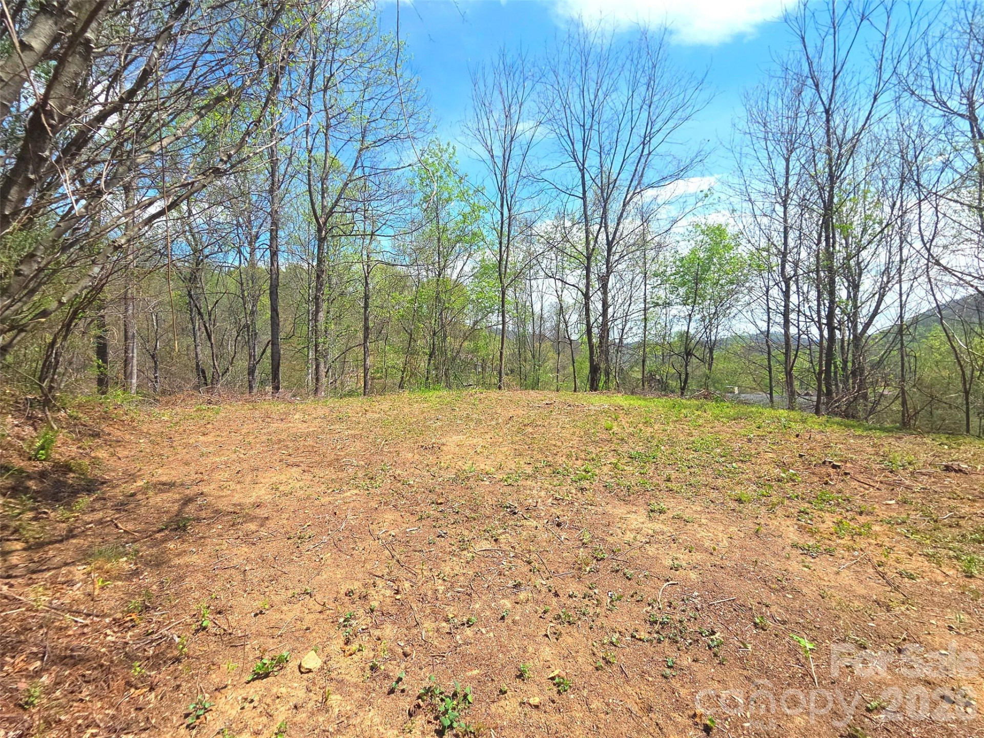 50 Turtle Rock Lane #6 - Photo 16