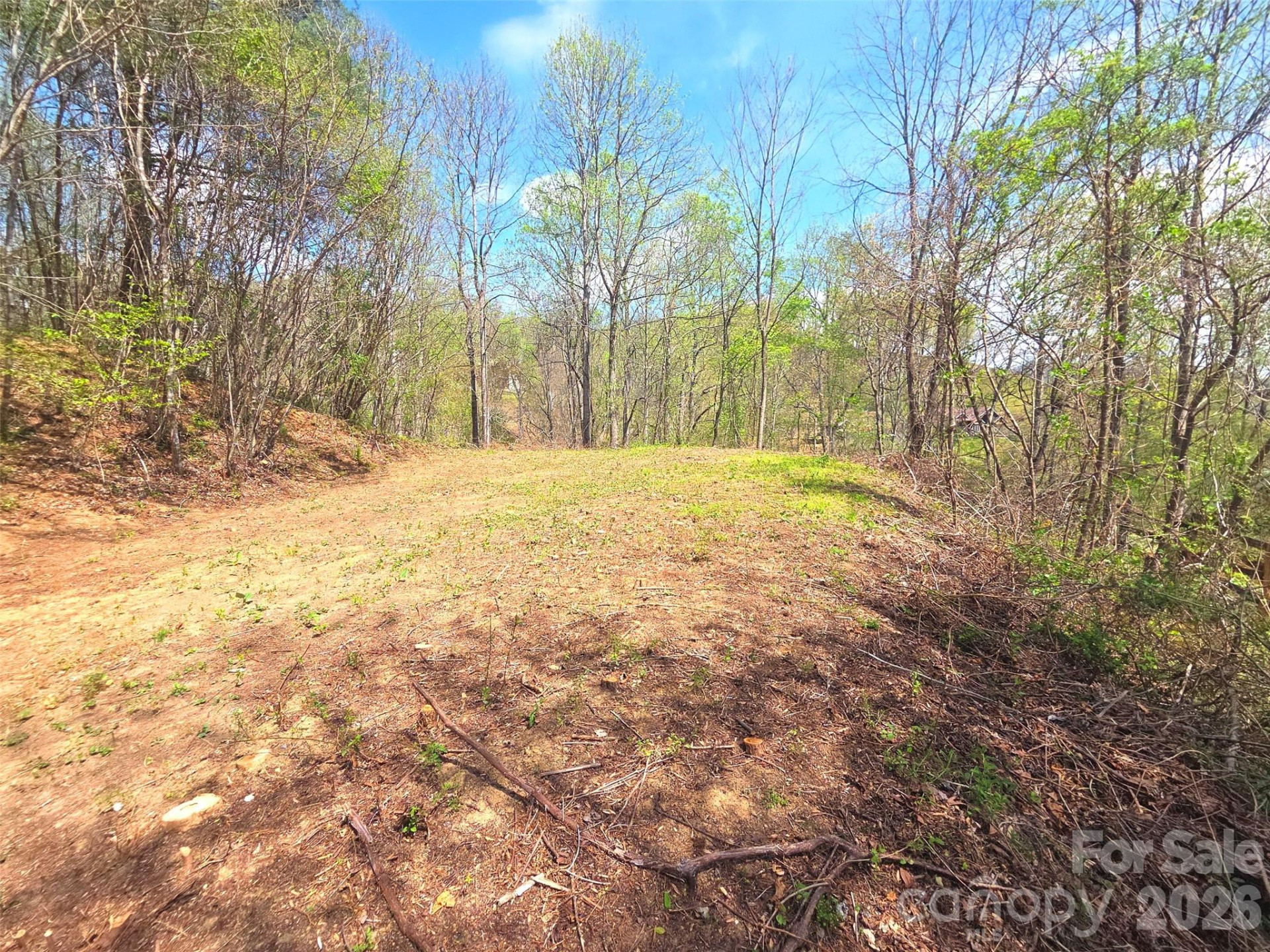 50 Turtle Rock Lane #6 - Photo 17