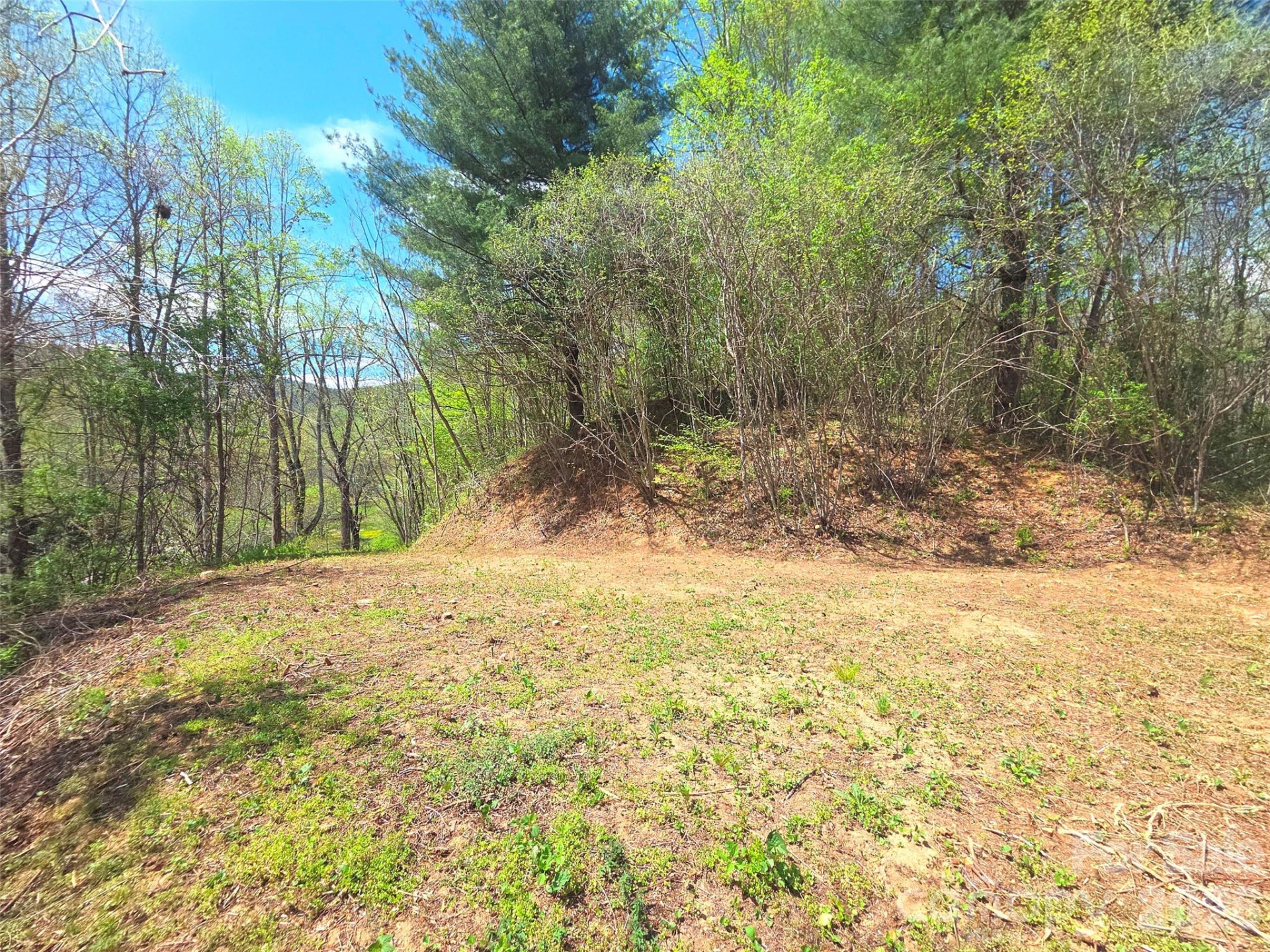 50 Turtle Rock Lane #6 - Photo 18