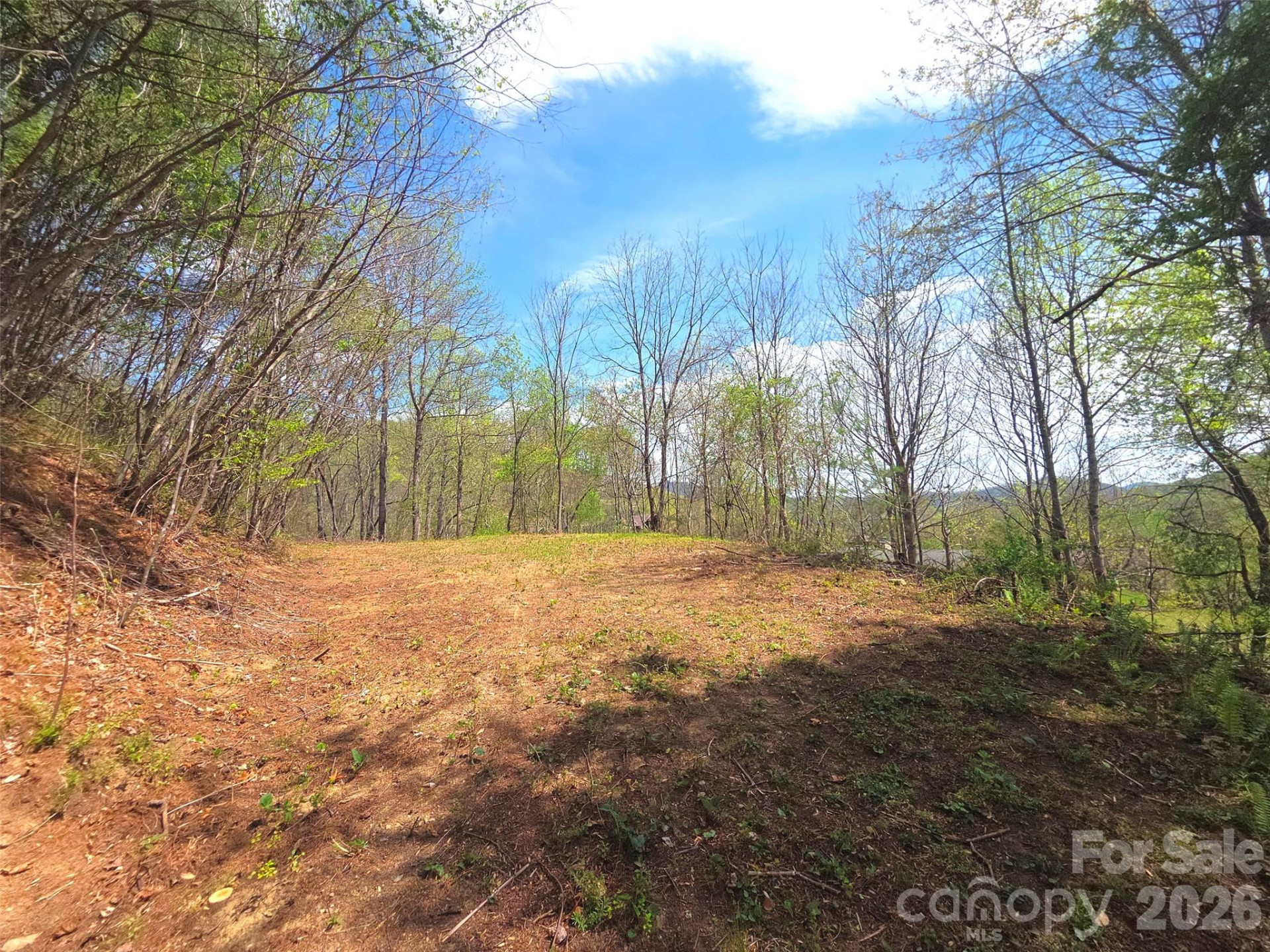 50 Turtle Rock Lane #6 - Photo 19