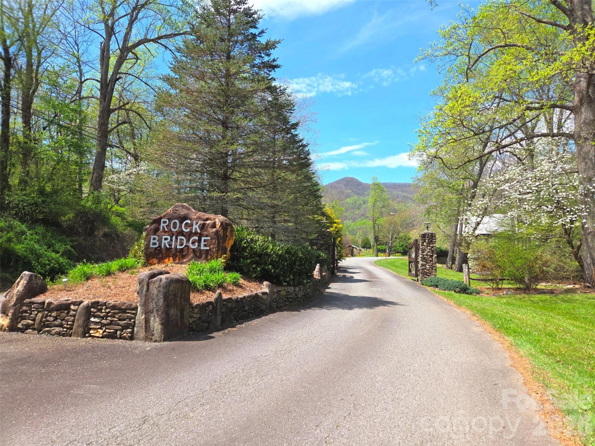 50 Turtle Rock Lane #6 - Photo 3