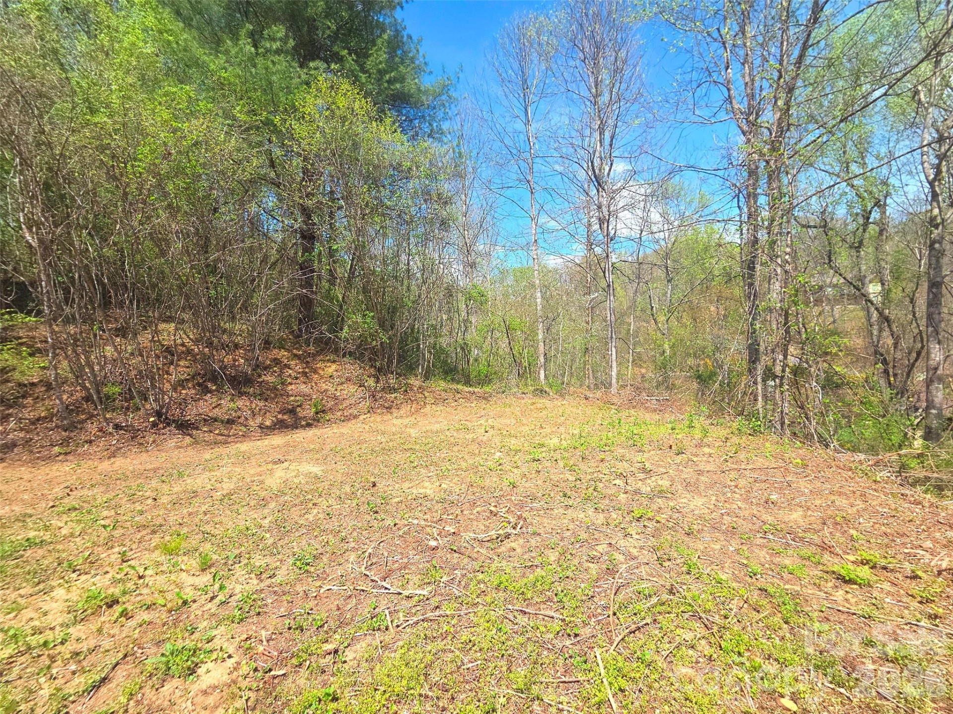 50 Turtle Rock Lane #6 - Photo 5