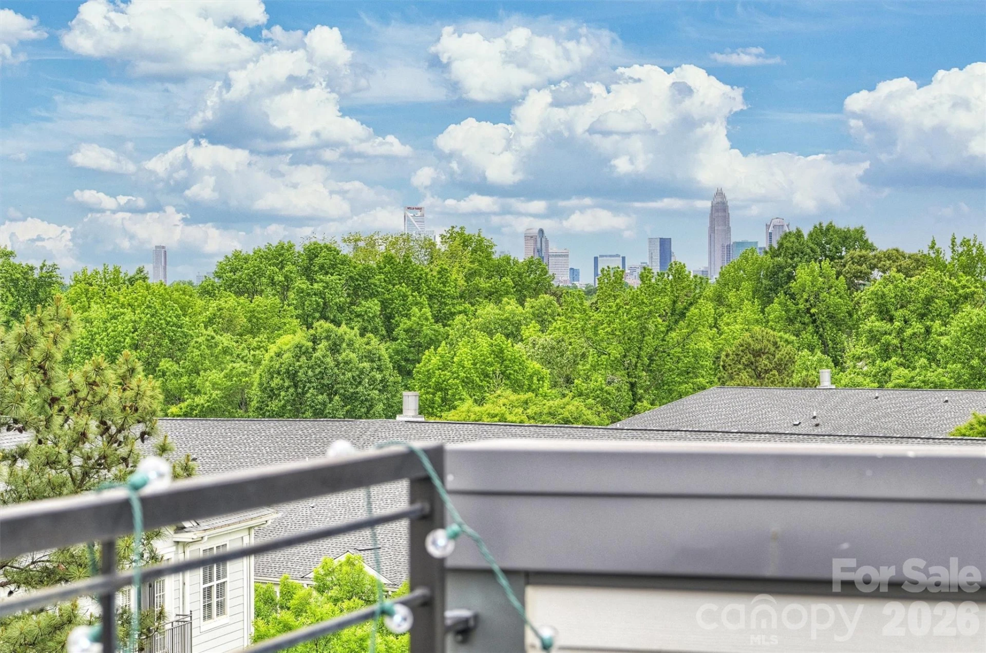 420 Grey Reagan Trail #21 - Photo 27