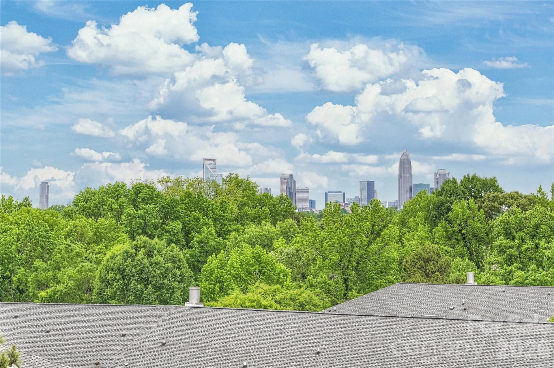 420 Grey Reagan Trail #21 - Photo 28