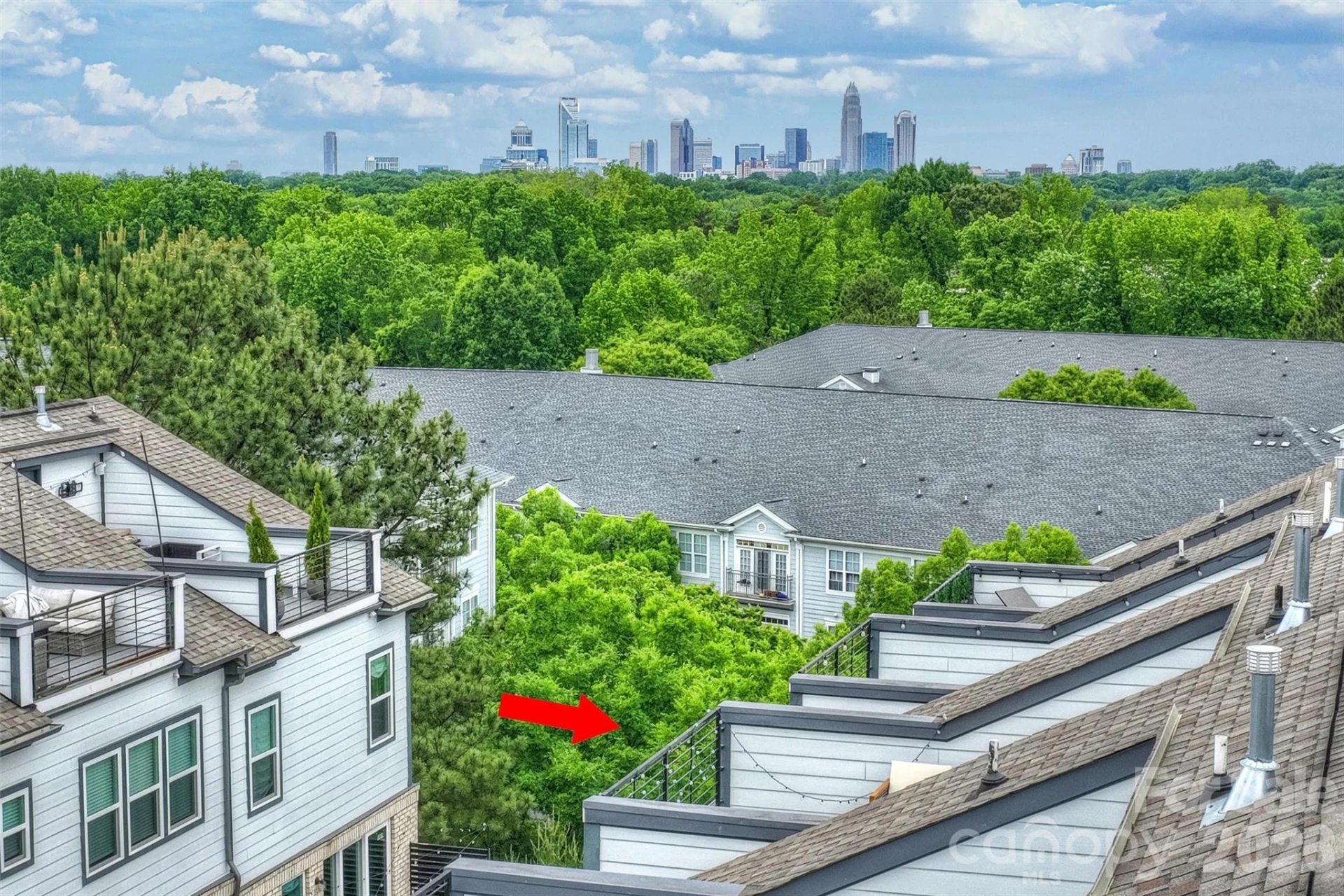 420 Grey Reagan Trail #21 - Photo 29