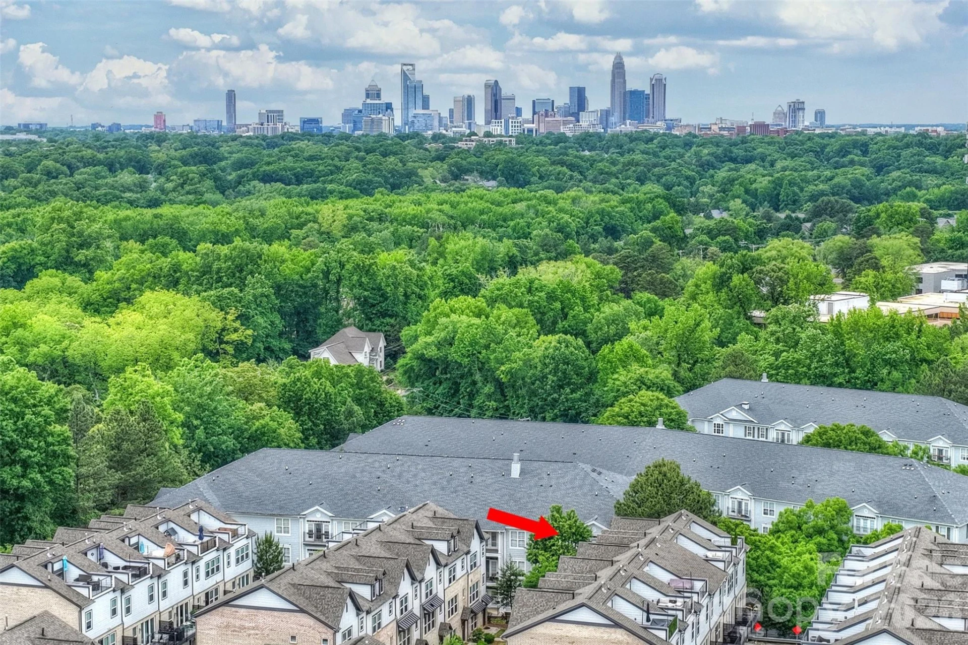 420 Grey Reagan Trail #21 - Photo 30
