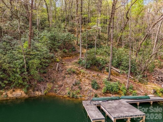 004-005 Quail Ridge Boulevard, Lake Lure, NC, 28746