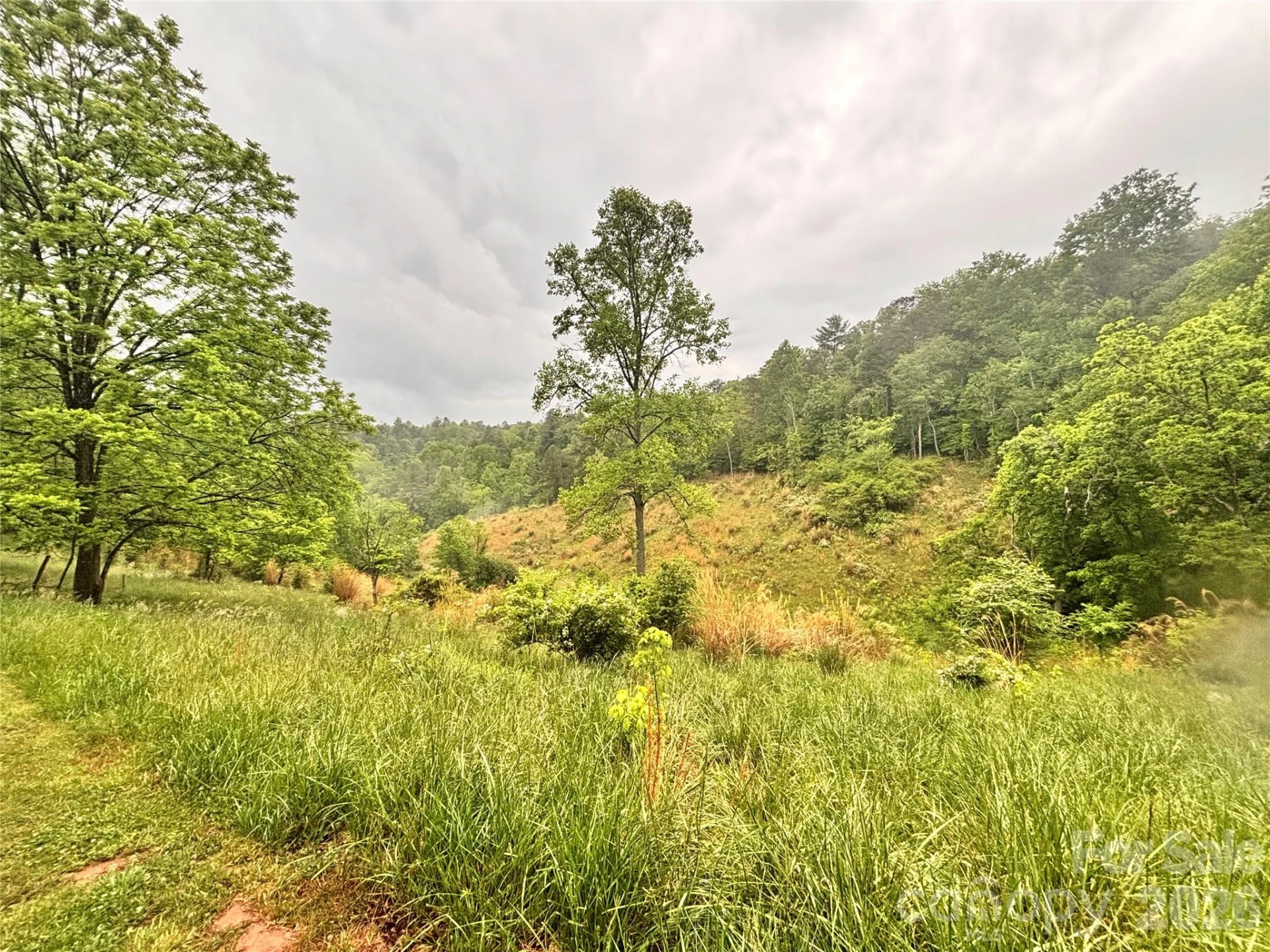 191 Posey Griffin Drive - Photo 36