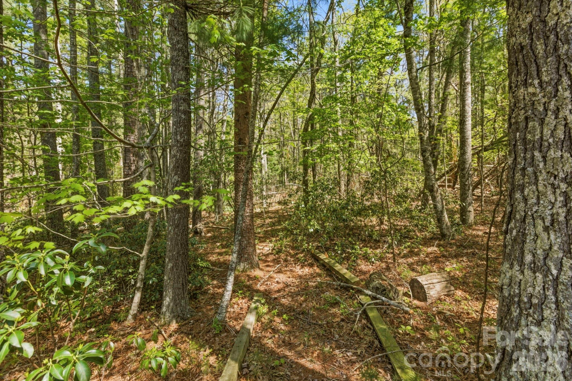 31 Ashbrook Meadows - Photo 38