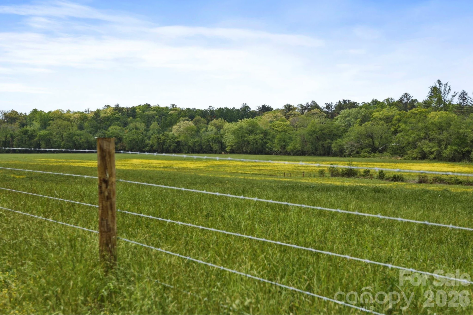 310 Windy Knoll Drive - Photo 45