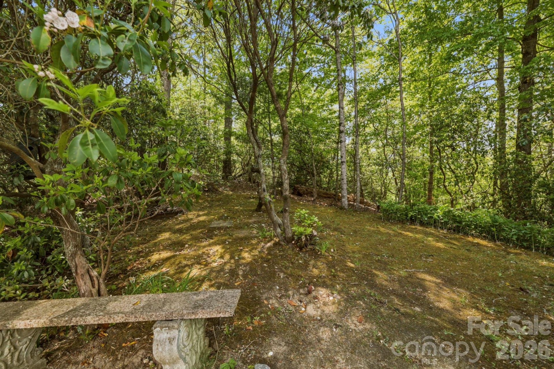 310 Windy Knoll Drive - Photo 10