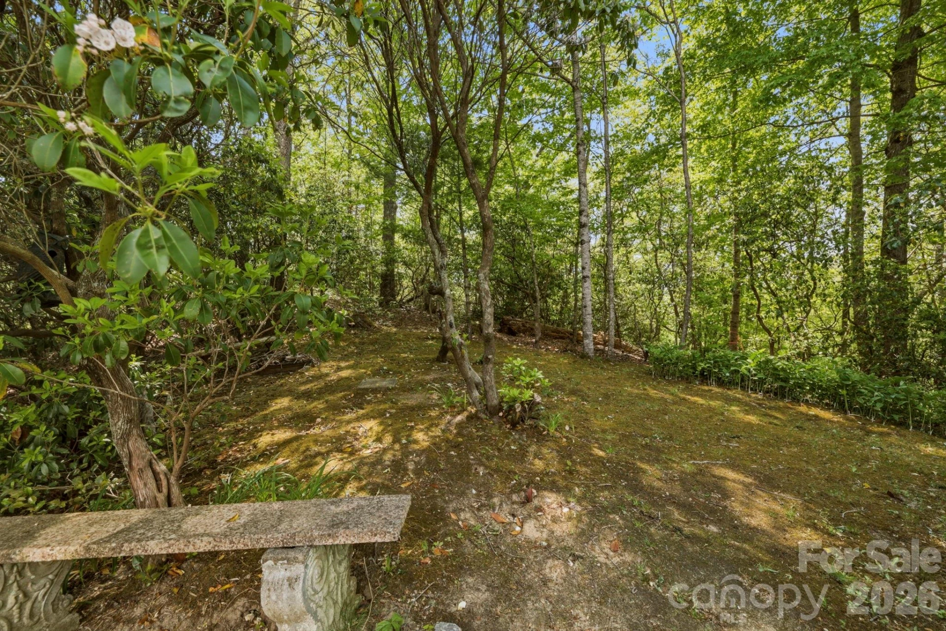 310 Windy Knoll Drive - Photo 10