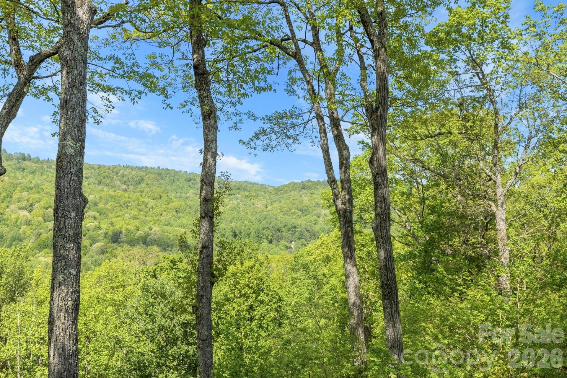 8 Spring Ridge Lane - Photo 7