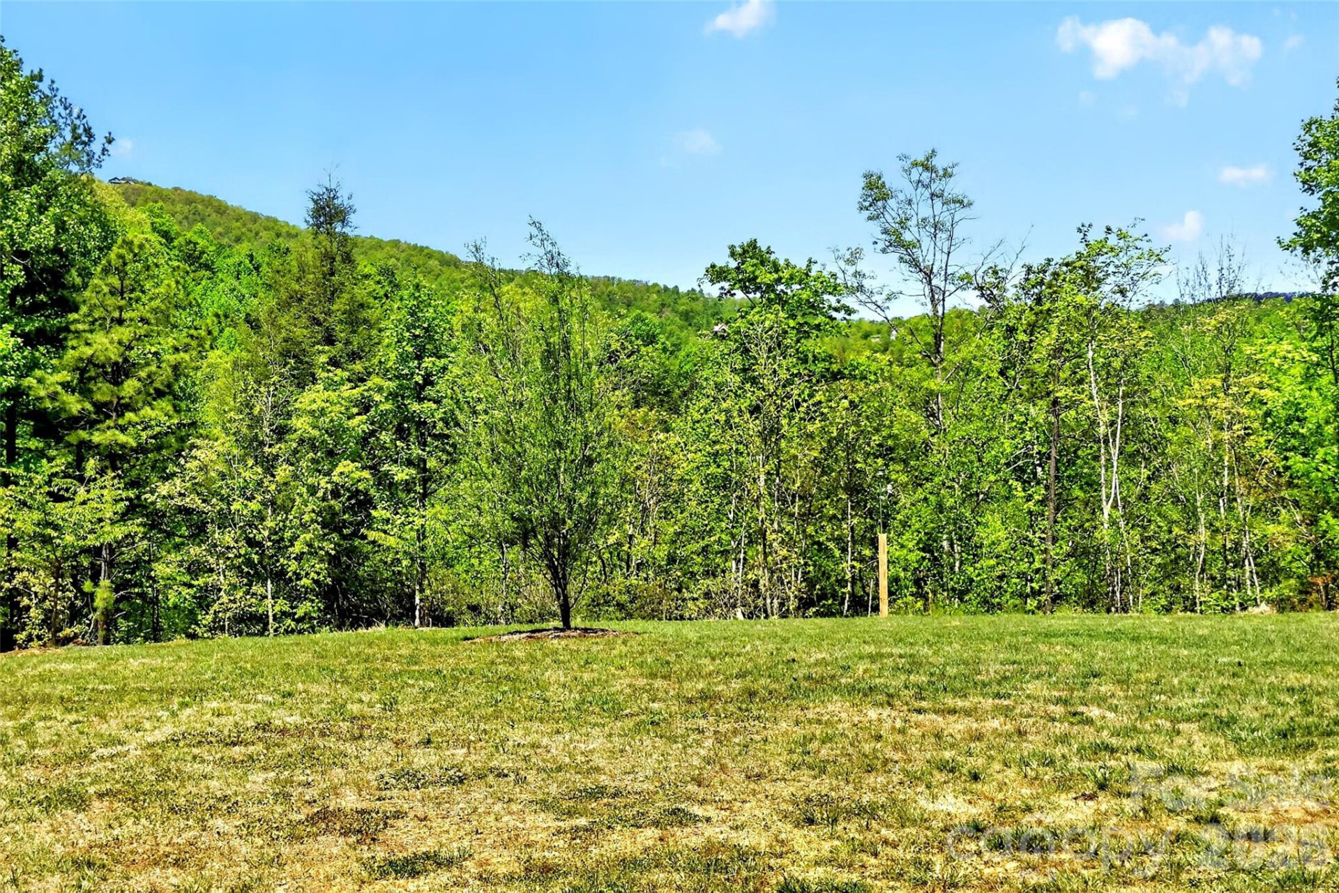 50 Glass Falls Trail #143,144 - Photo 6