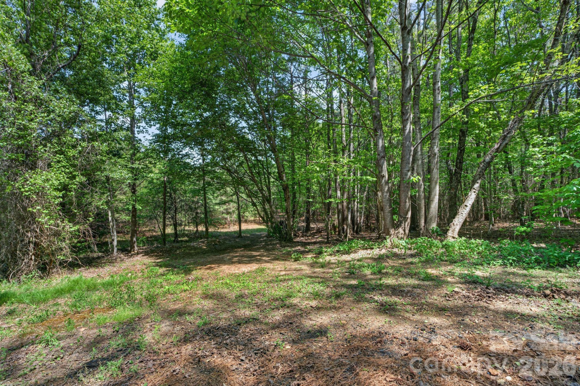 0 Corn Hill Road - Photo 9