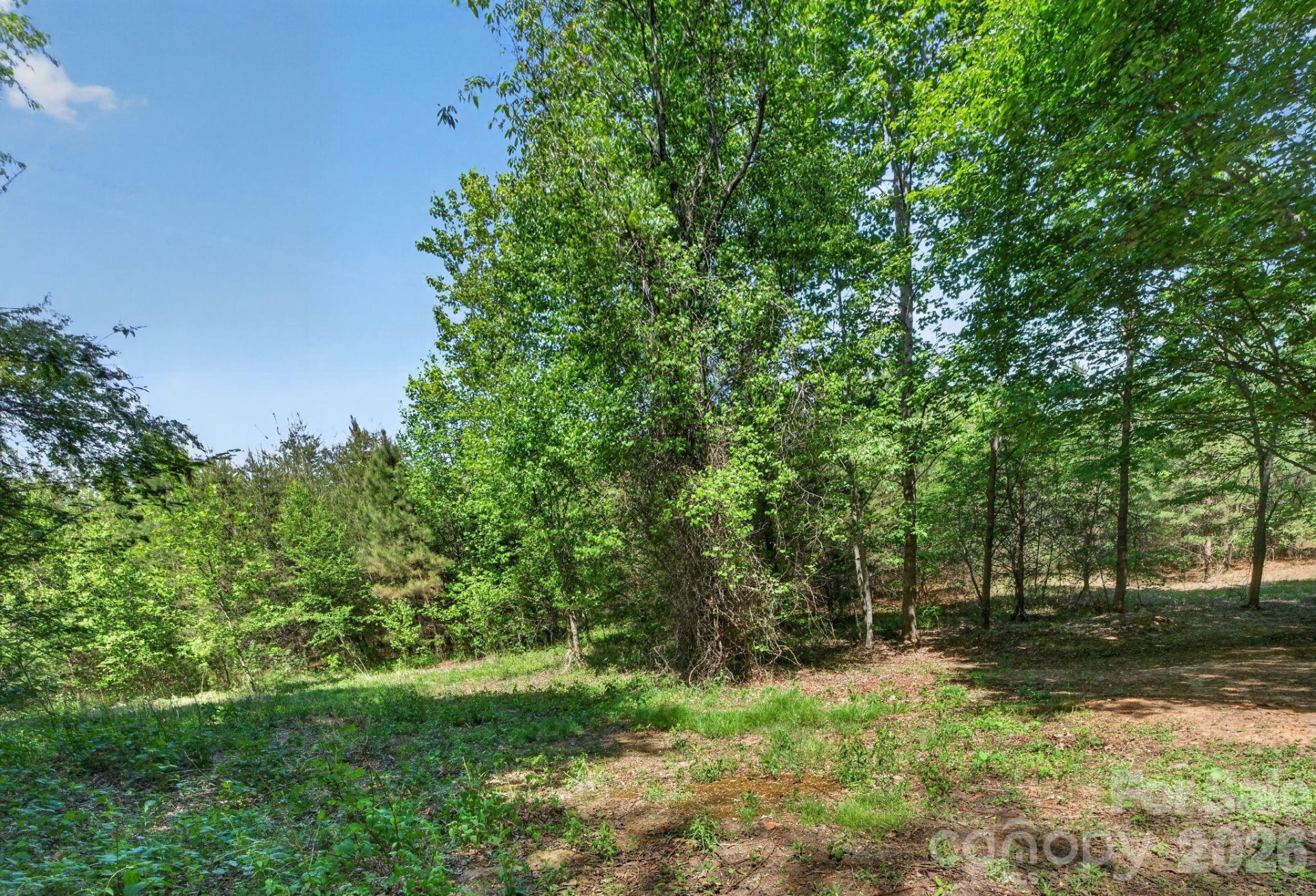 0 Corn Hill Road - Photo 10