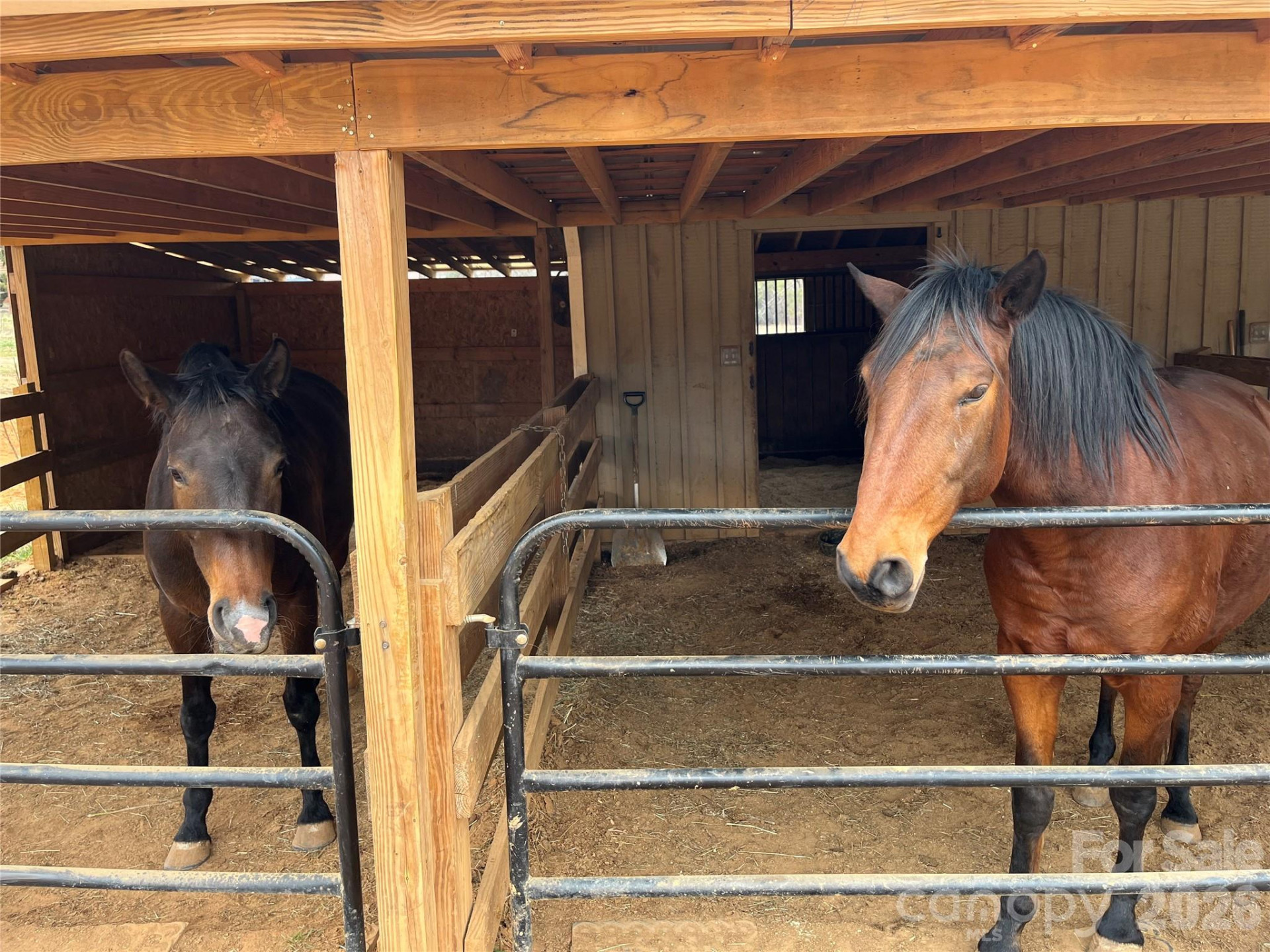 159 Big Island Road - Photo 28