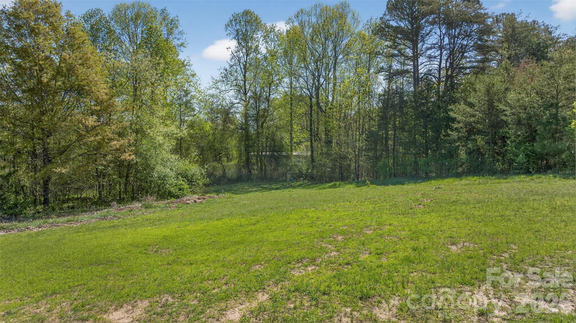 159 Big Island Road - Photo 10