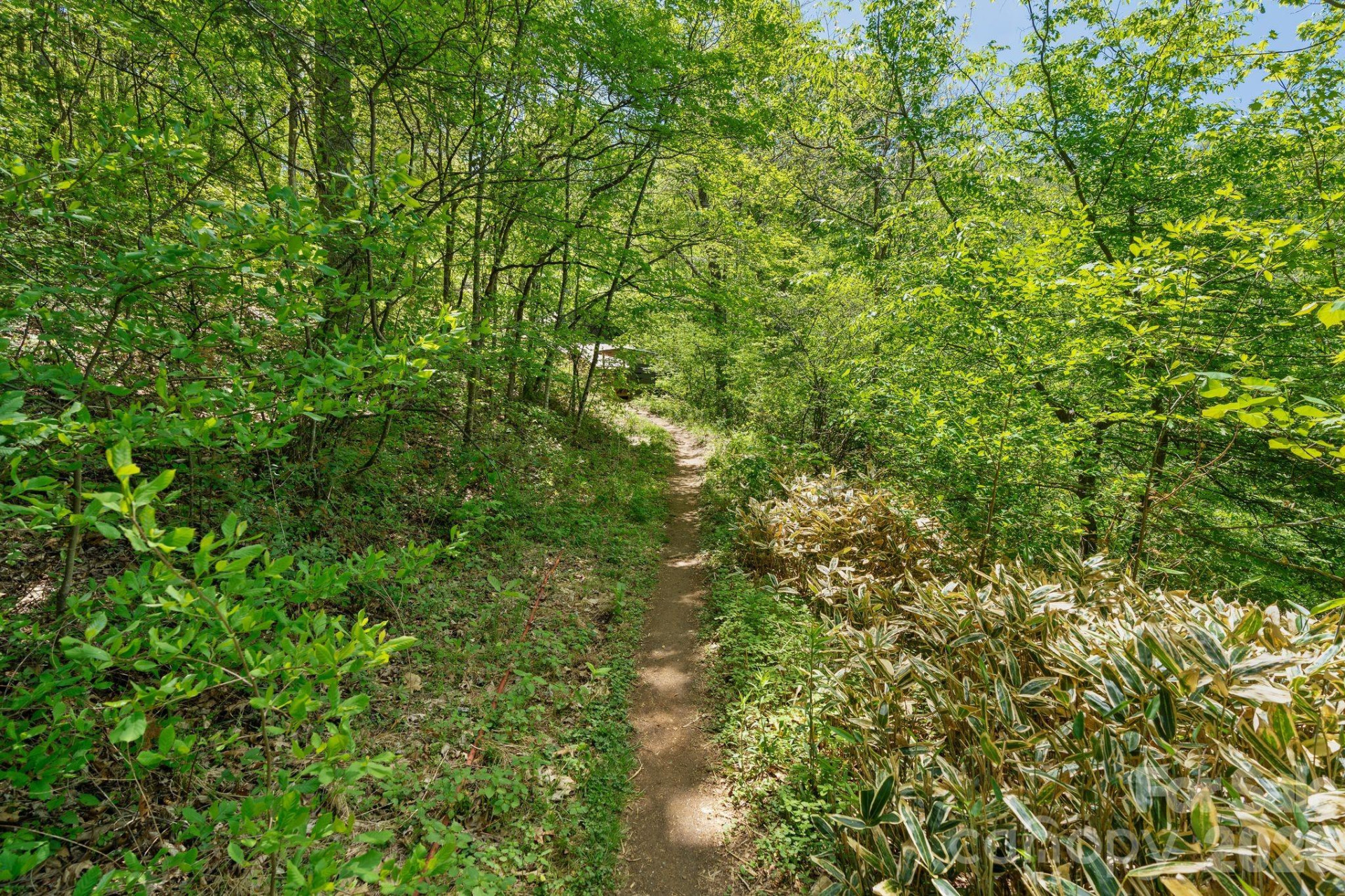 144 Pegg Road - Photo 37