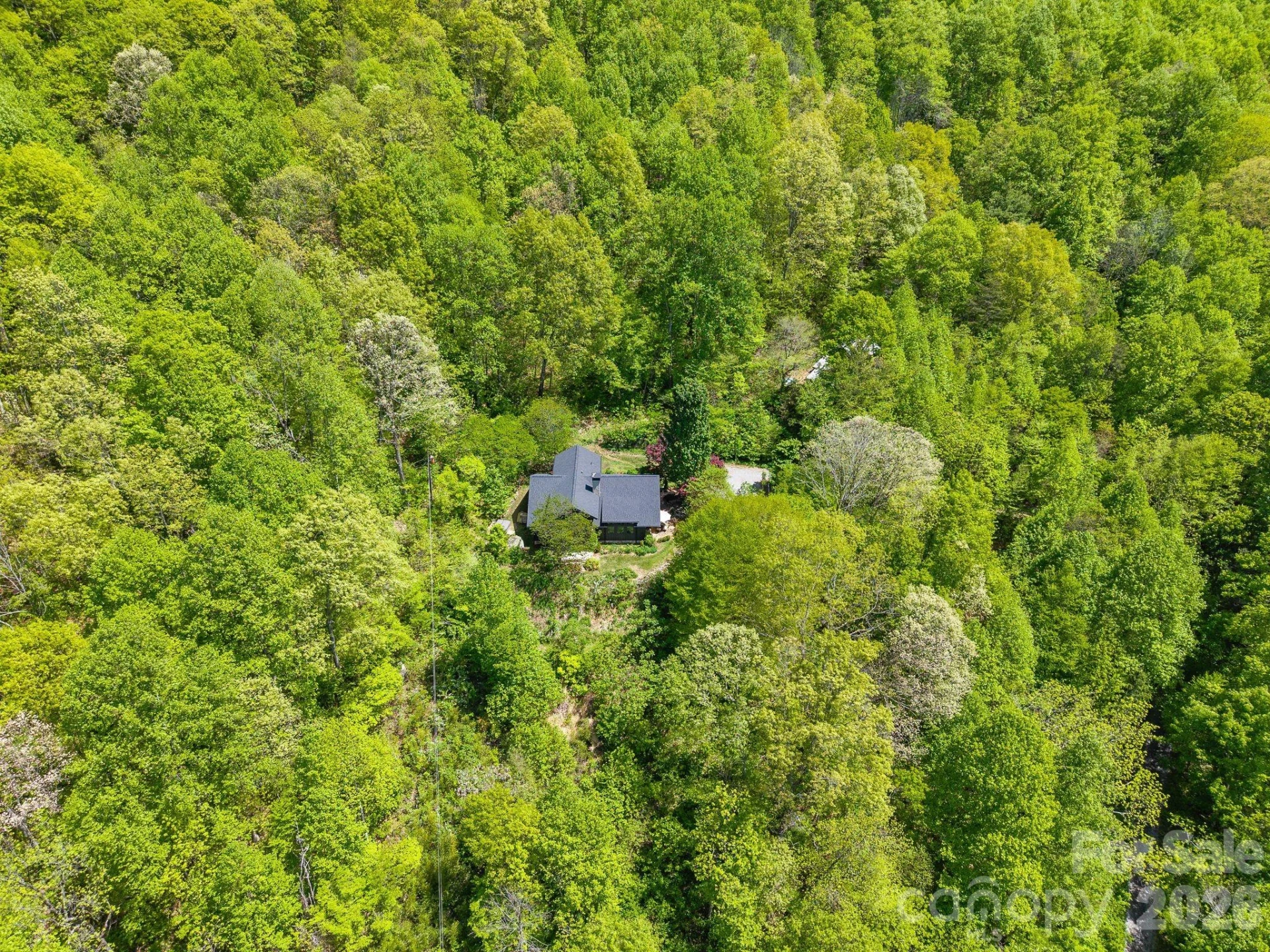 144 Pegg Road - Photo 43