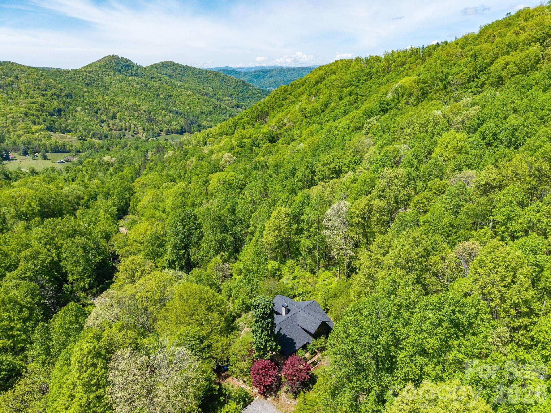 144 Pegg Road - Photo 44