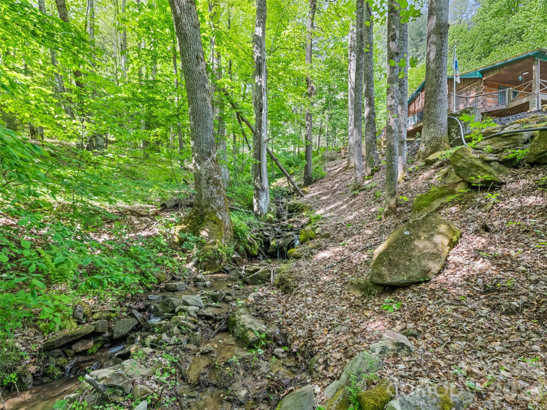 1073 Lentini Drive - Photo 4