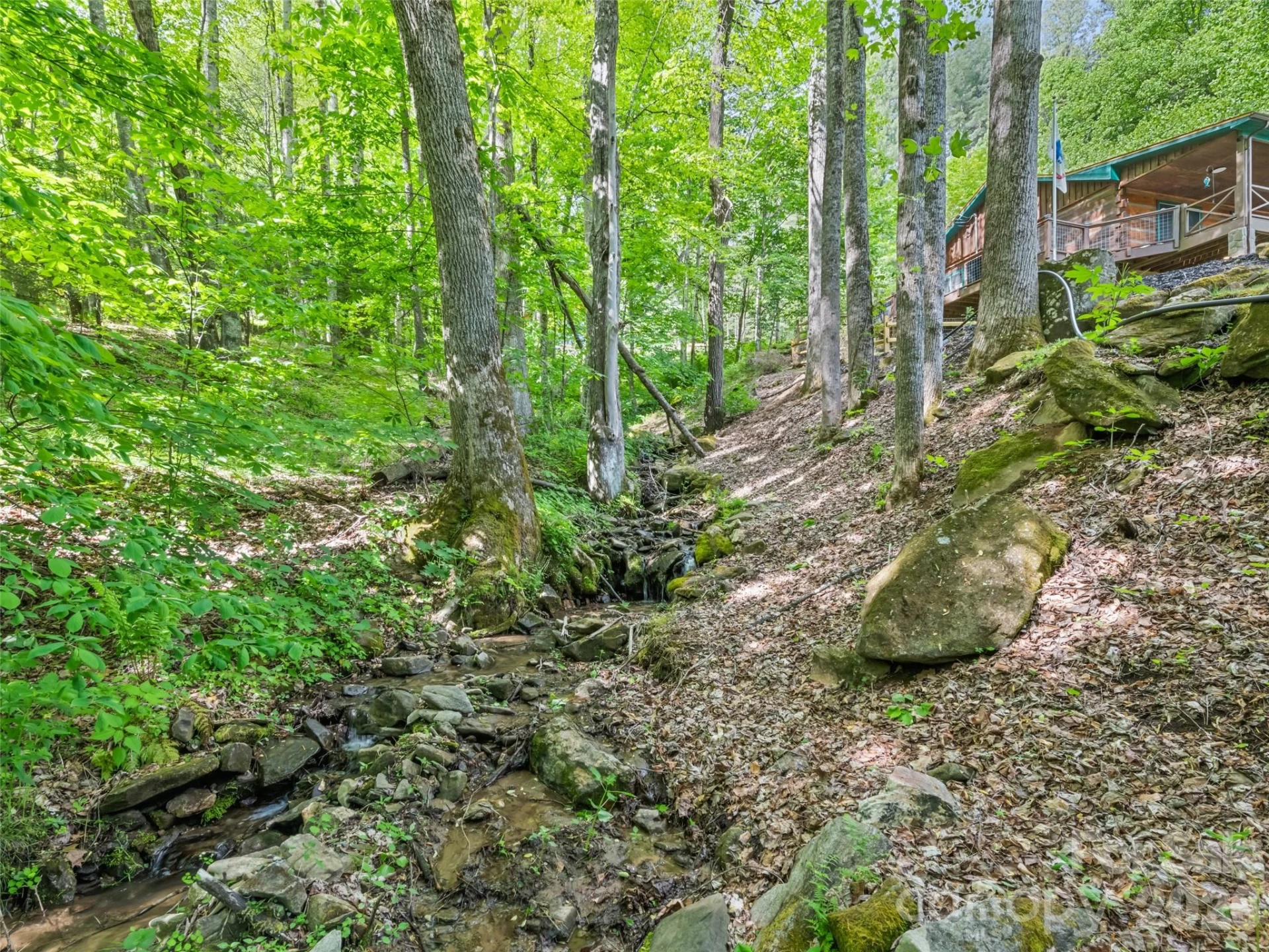 1073 Lentini Drive - Photo 4