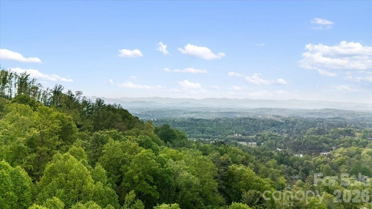 110 Leisure Mountain Road #30 - Photo 40