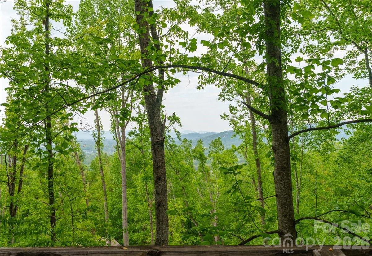 110 Leisure Mountain Road #30 - Photo 9
