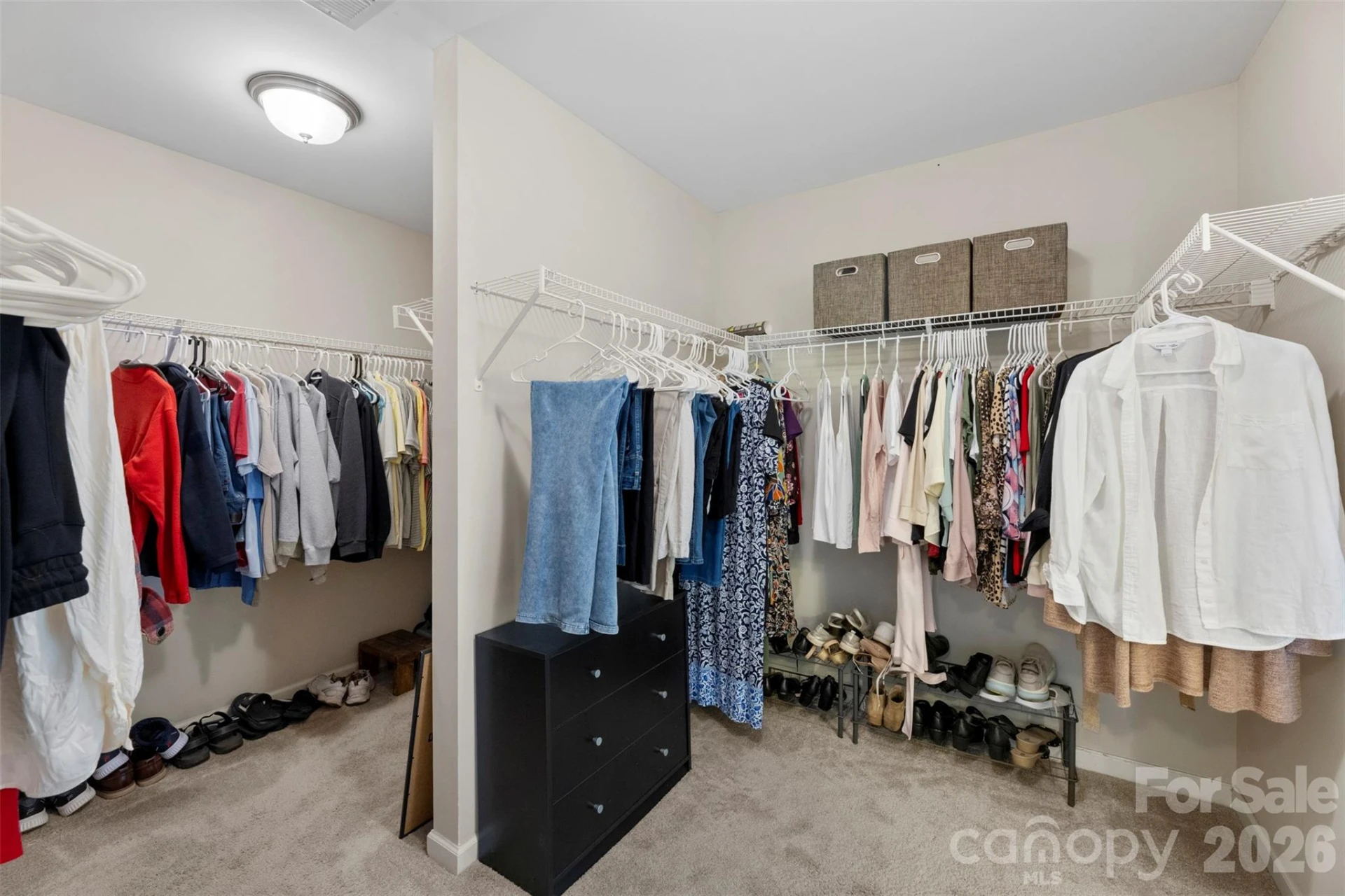 824 Ardent Trail - Photo 18