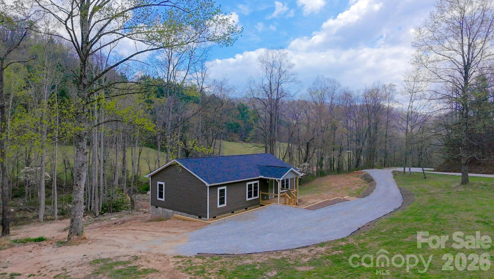 784 Bearwallow Mountain Road - Photo 2