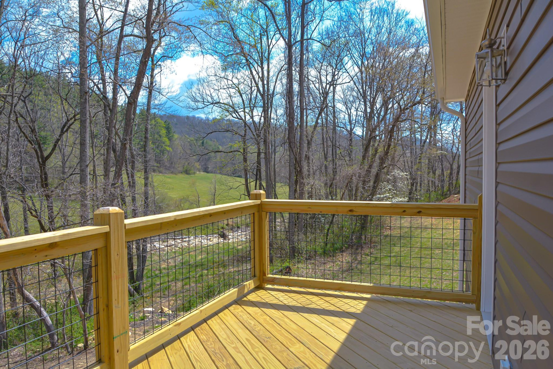 784 Bearwallow Mountain Road - Photo 3
