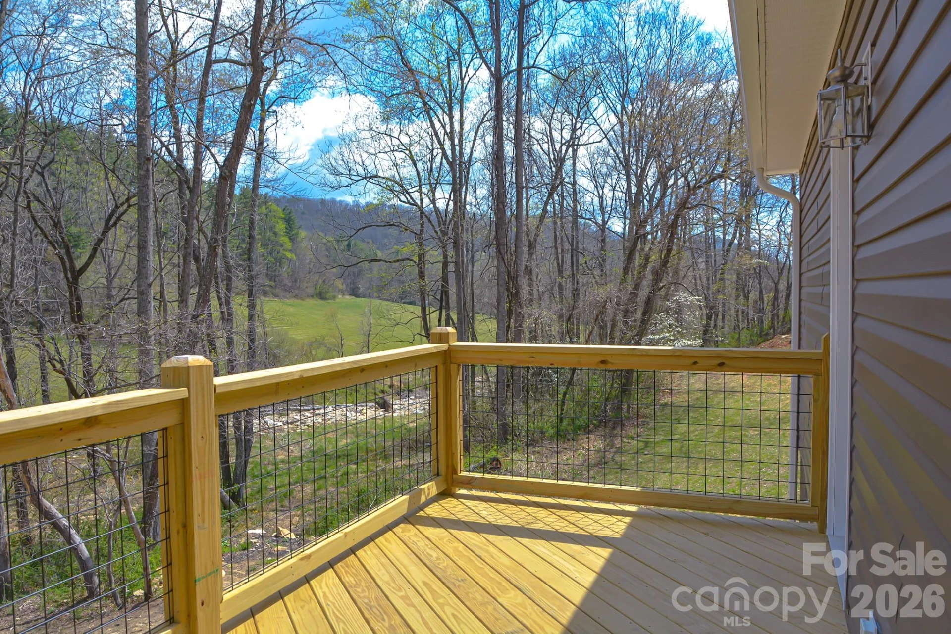784 Bearwallow Mountain Road - Photo 3