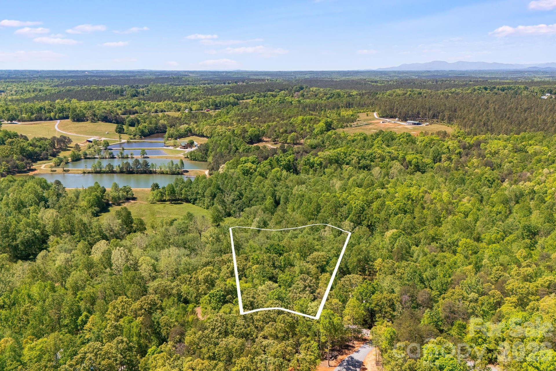 304 Richardson Creek Lane - Photo 11