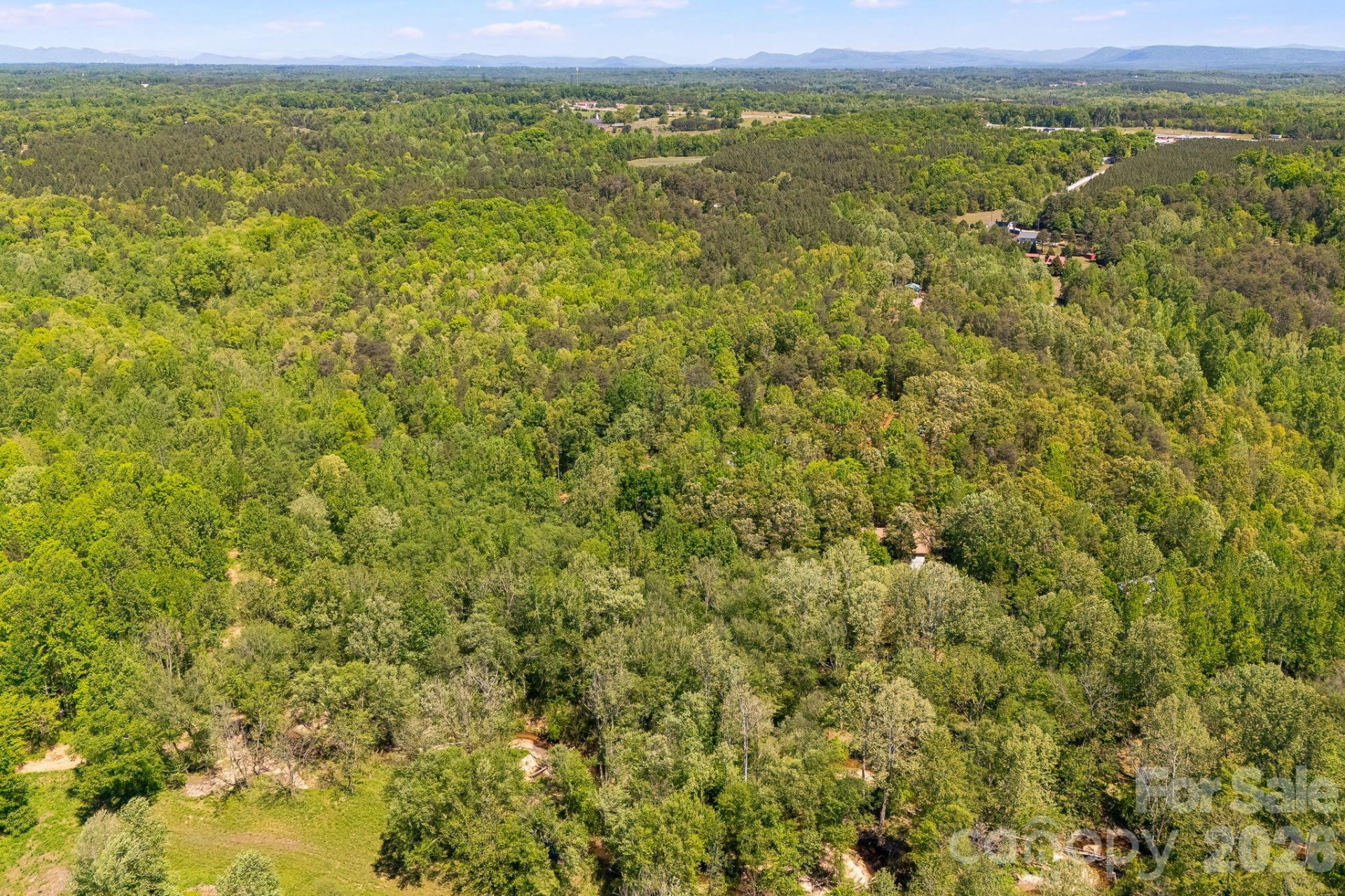 304 Richardson Creek Lane - Photo 17