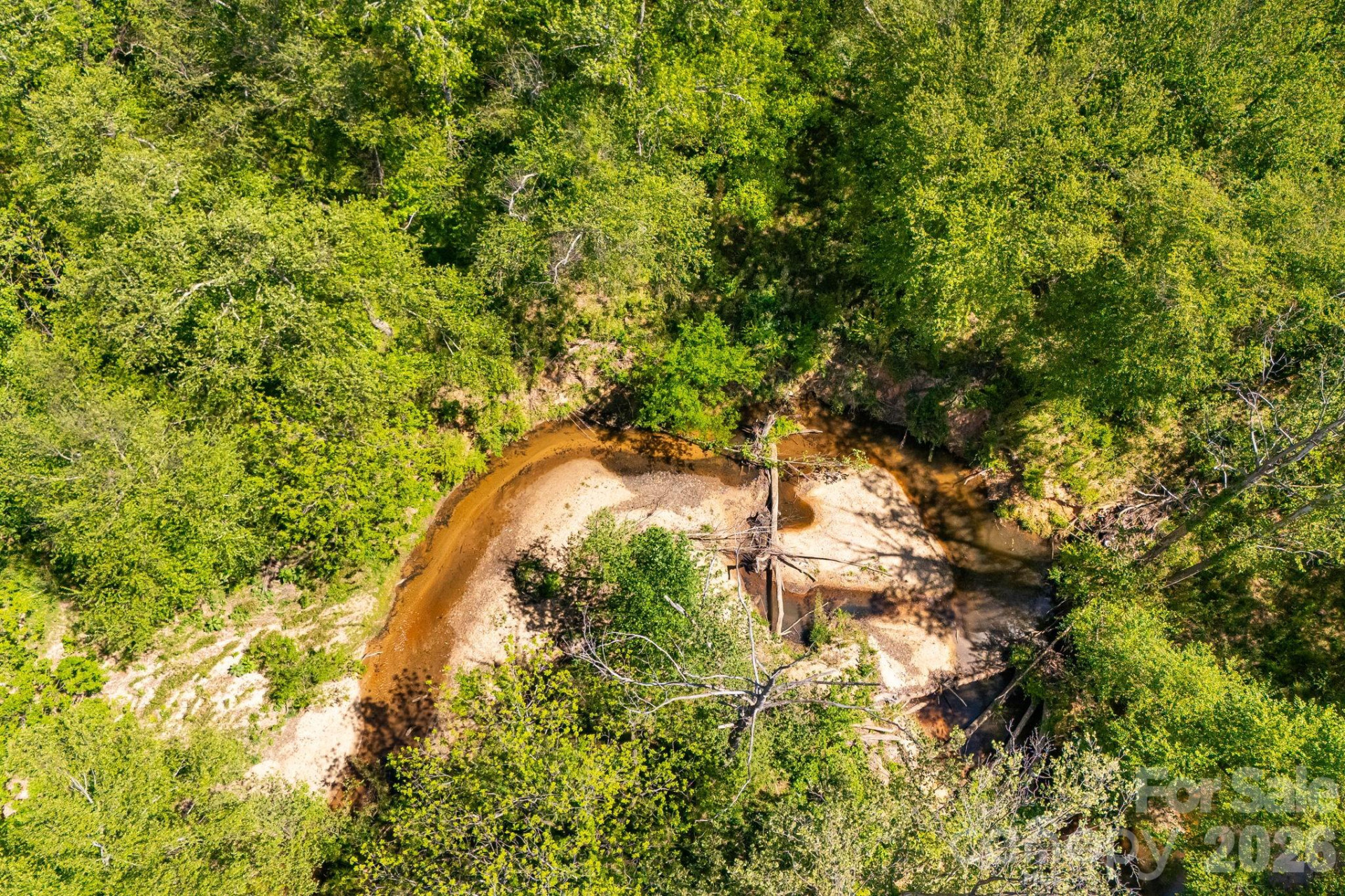 304 Richardson Creek Lane - Photo 7