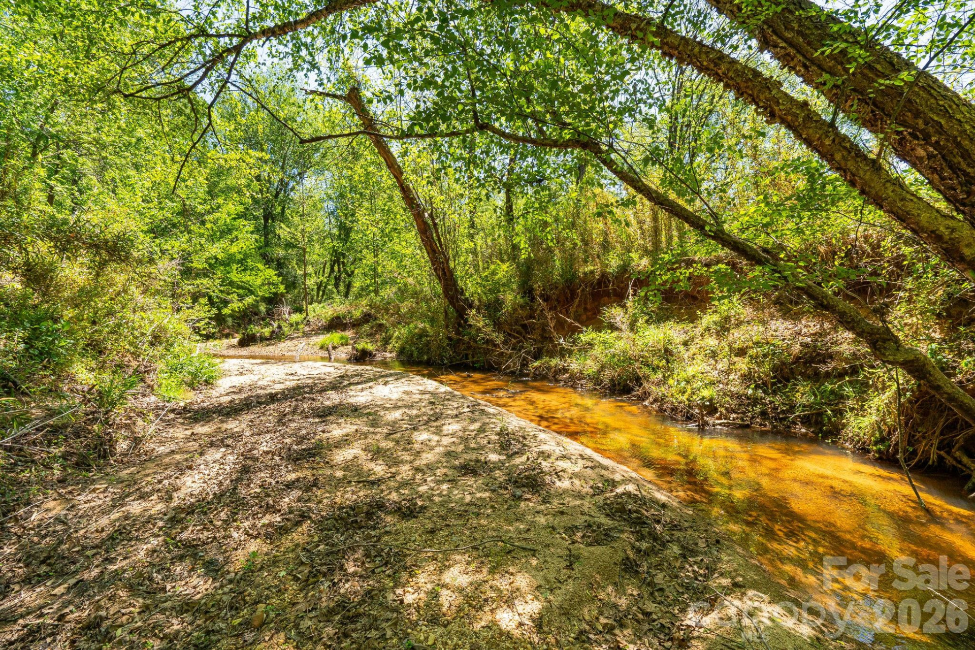 304 Richardson Creek Lane - Photo 8