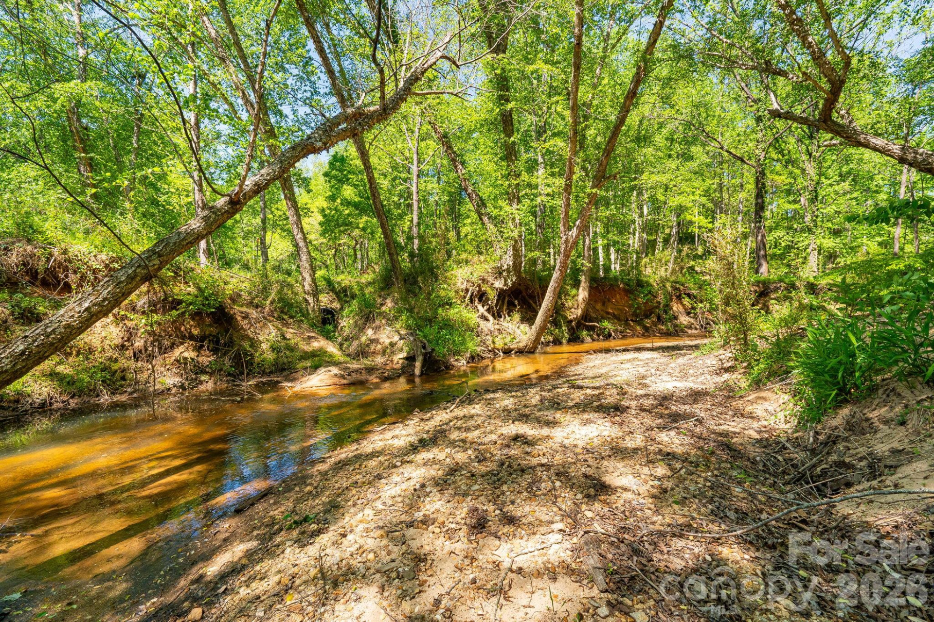 304 Richardson Creek Lane - Photo 9