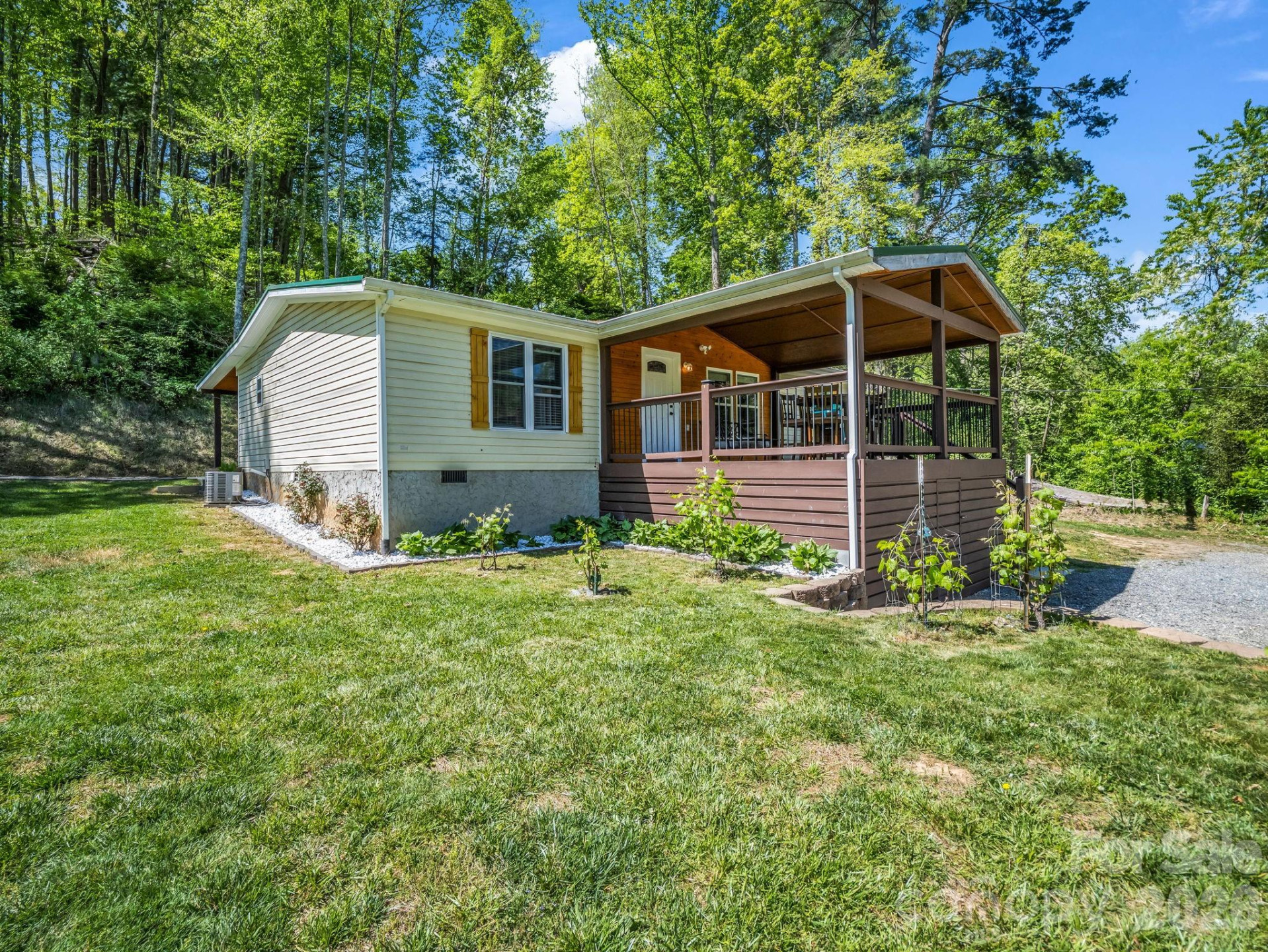 285 Dix Creek No 1 Road - Photo 6