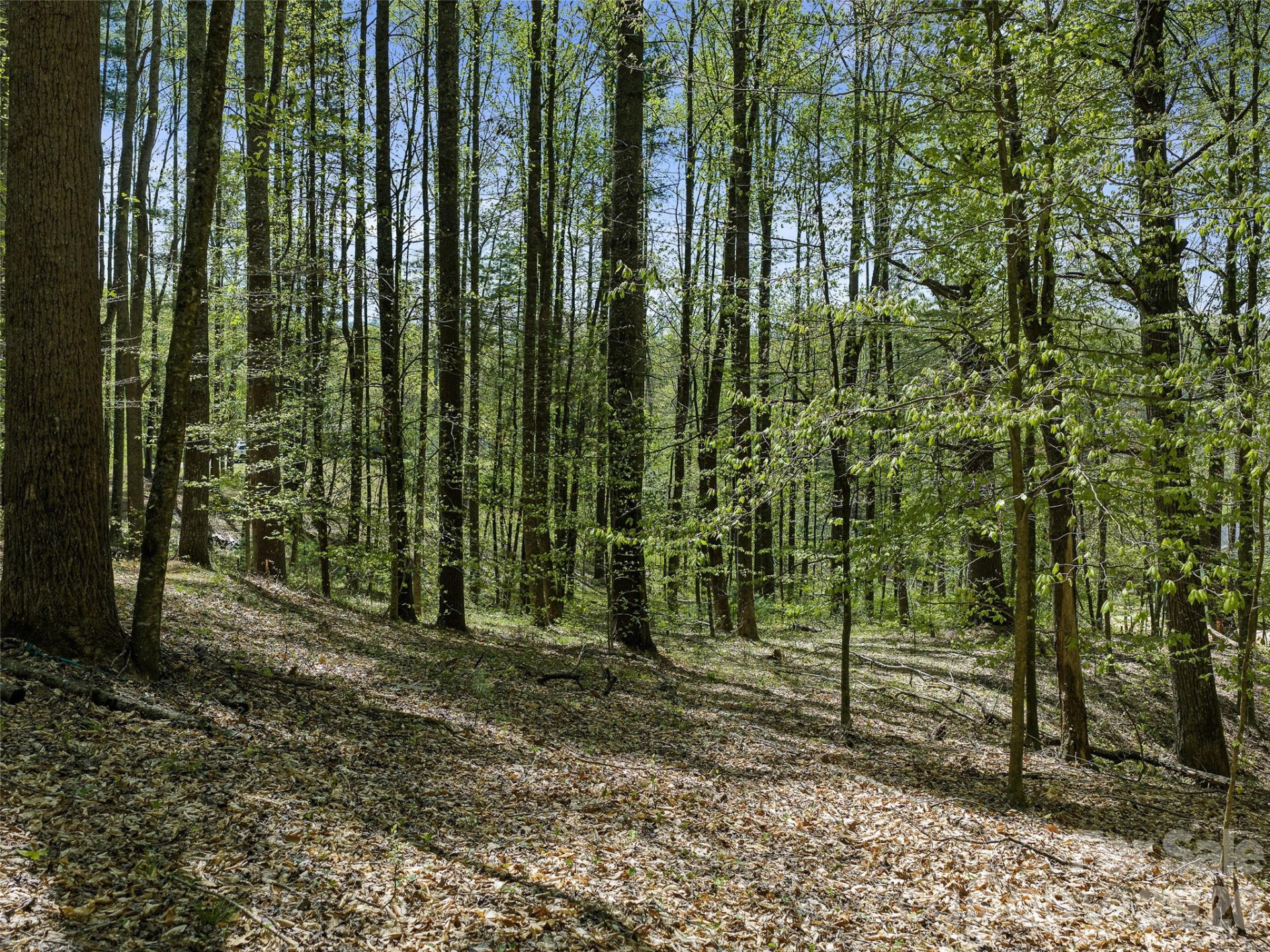 105 Satinwood Drive - Photo 2