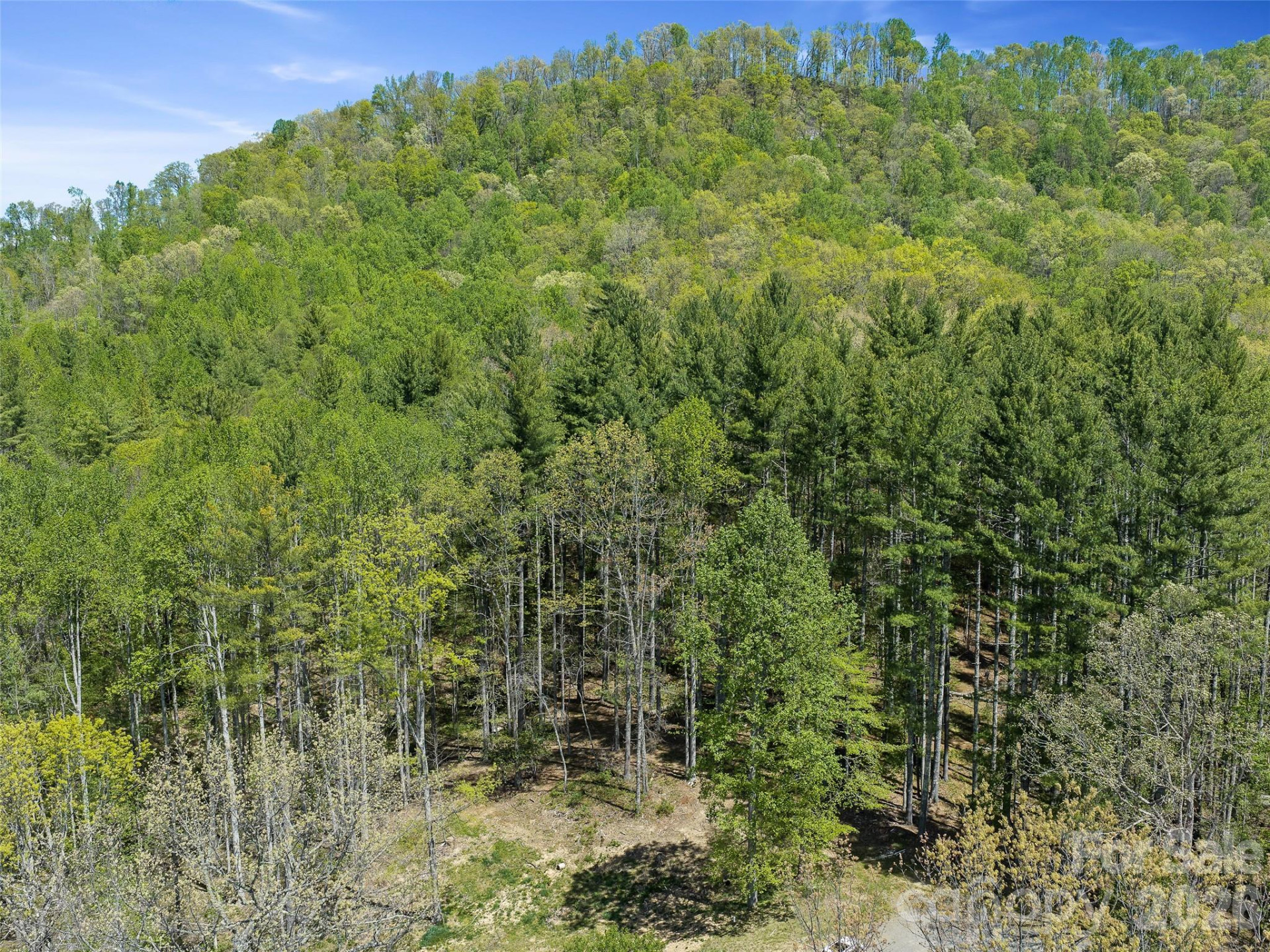 105 Satinwood Drive - Photo 11