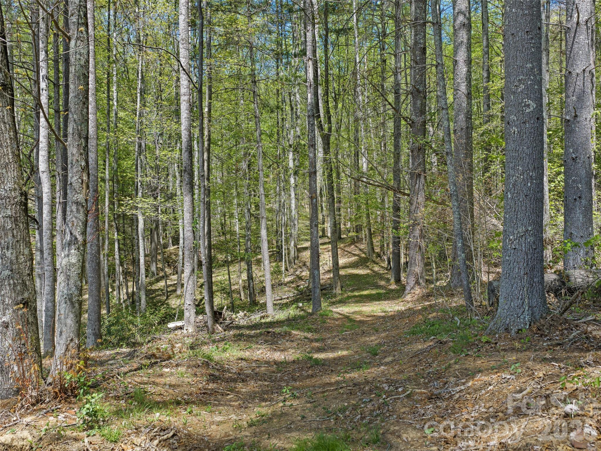 105 Satinwood Drive - Photo 3