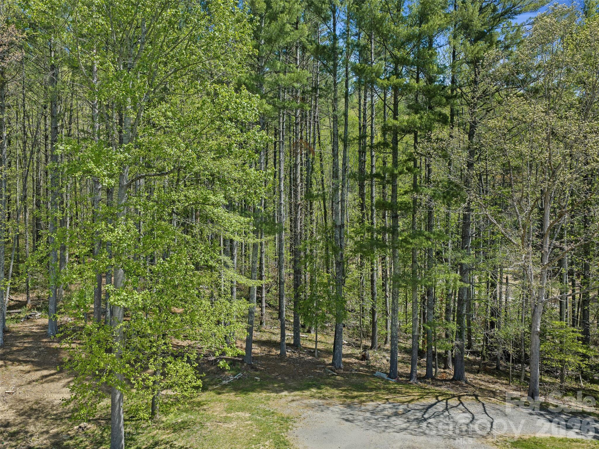 105 Satinwood Drive - Photo 5